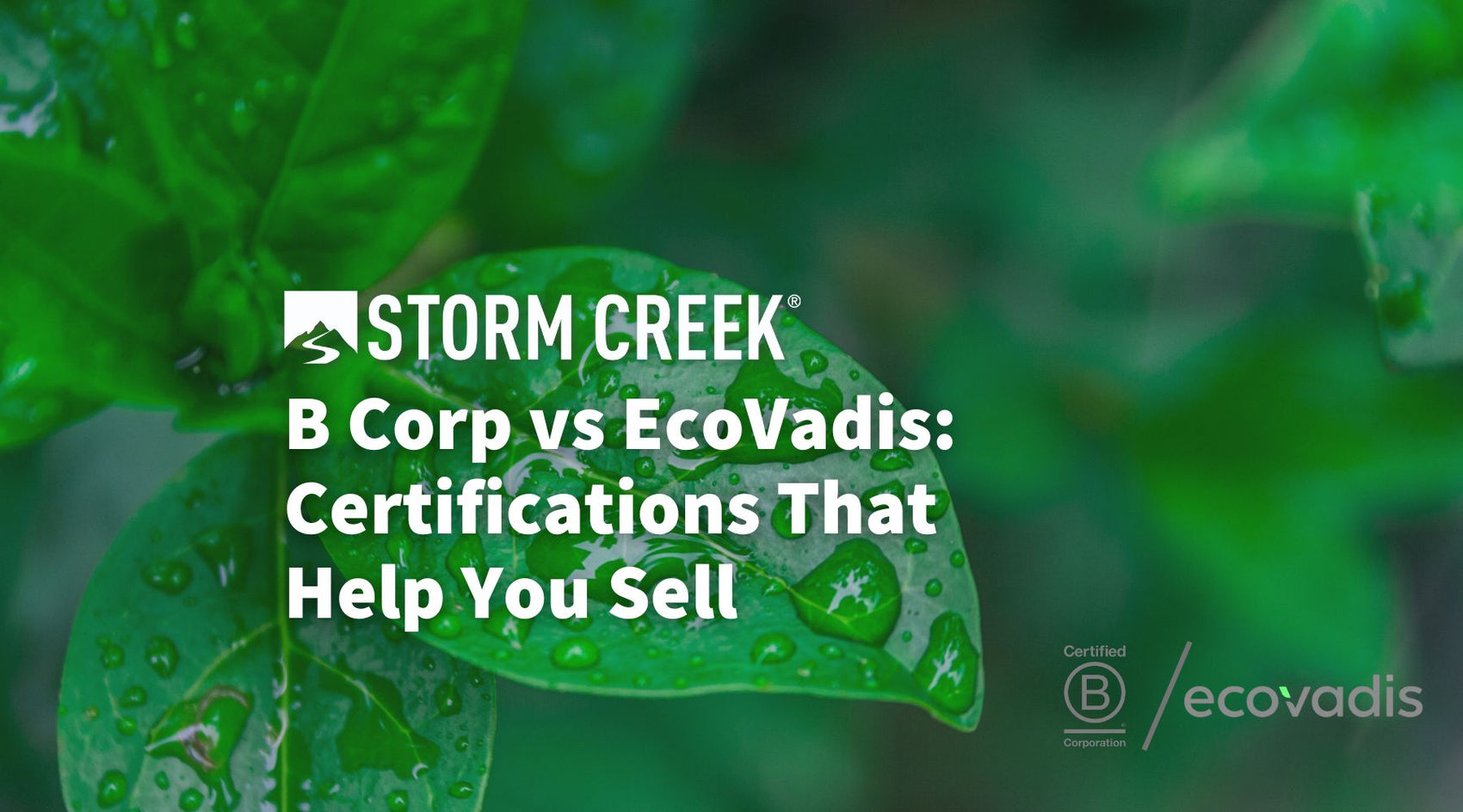 B Corp vs. EcoVadis: Certifications That Help You Sell