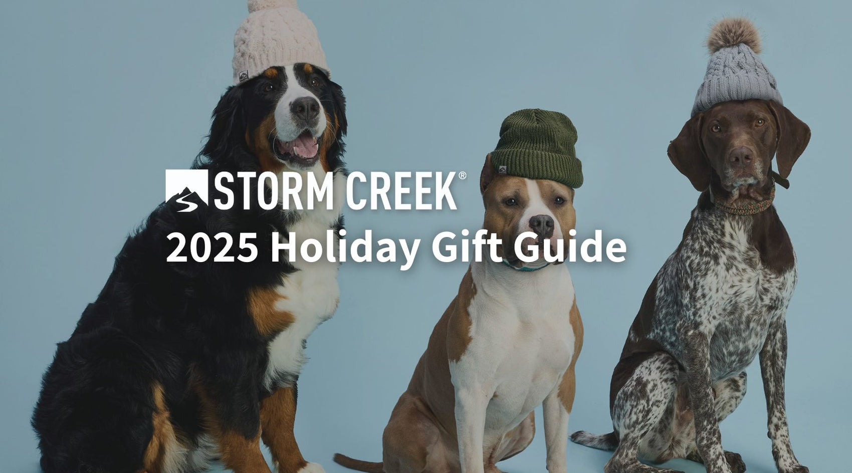 2025 Holiday Gift Guide: Cozy, Cool & Completely Unregiftable