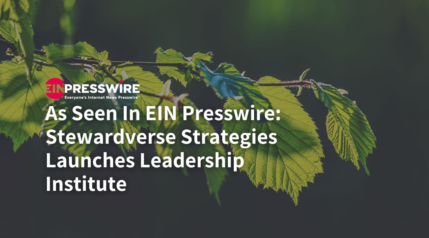 As Seen In EIN Presswire: Stewardverse Strategies Launches Leadership Institute