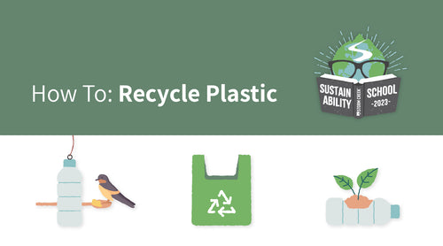 Sustainability School- How to Recycle Plastic