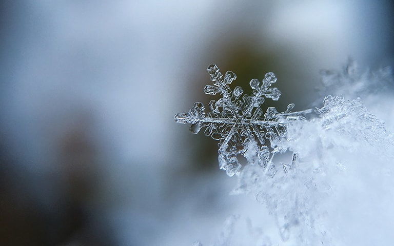 Storm Creek Presents the Securian Winter Race Apparel and Frozen Family Fun Night