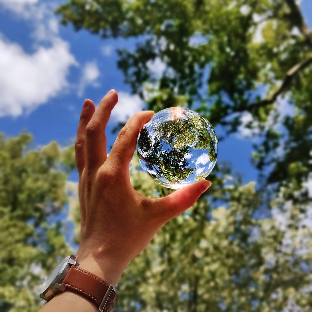 15 Easy Ways to Decrease Your Carbon Footprint